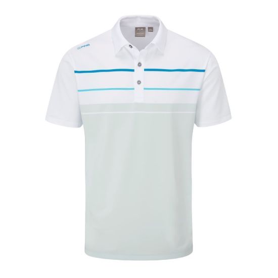 Picture of PING Staton Polo Shirt - L Only