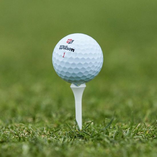 Picture of Wilson DUO Soft Plus Golf Balls