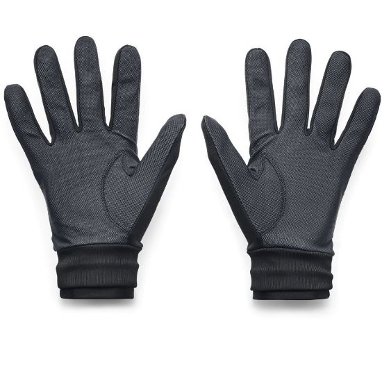 Picture of Under Armour Men's CGI Golf Gloves - Pair