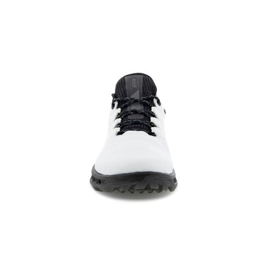 Picture of ECCO Men's Biom C4 Golf Shoes