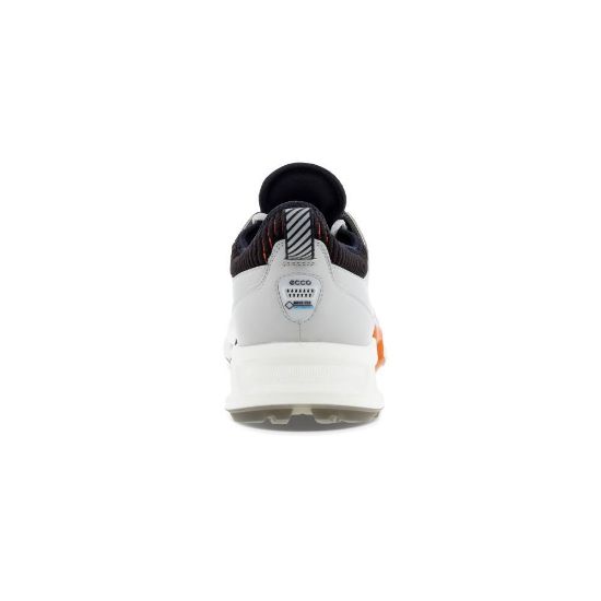 Picture of ECCO Men's Biom C4 Golf Shoes
