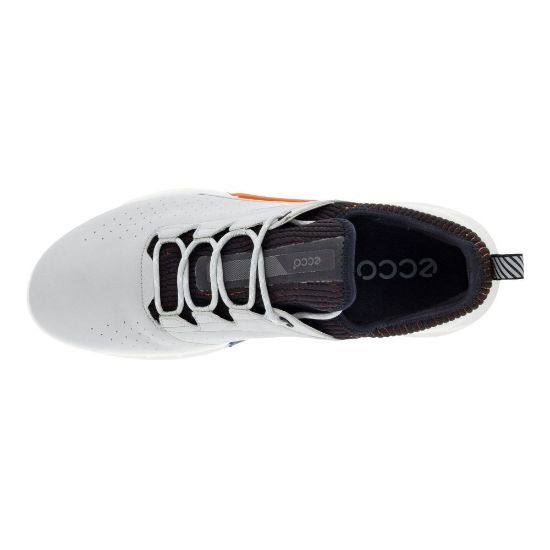 Picture of ECCO Men's Biom C4 Golf Shoes