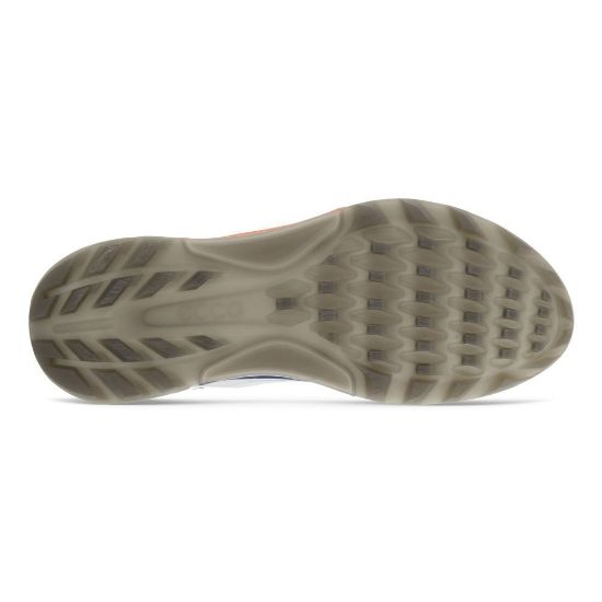 Picture of ECCO Men's Biom C4 Golf Shoes