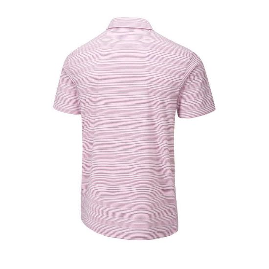 Picture of PING Men's Alexander Golf Polo Shirt