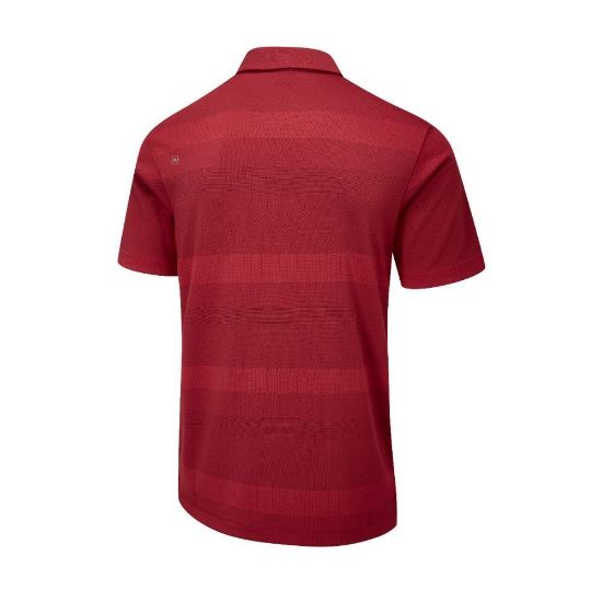 Picture of PING Men's Focus Golf Polo Shirt