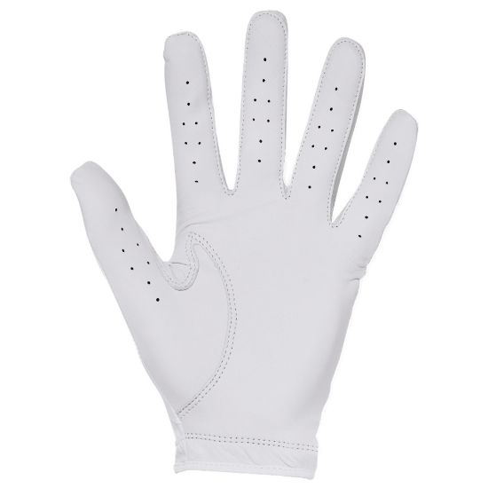 Picture of Under Armour Men's Iso-Chill Golf Glove