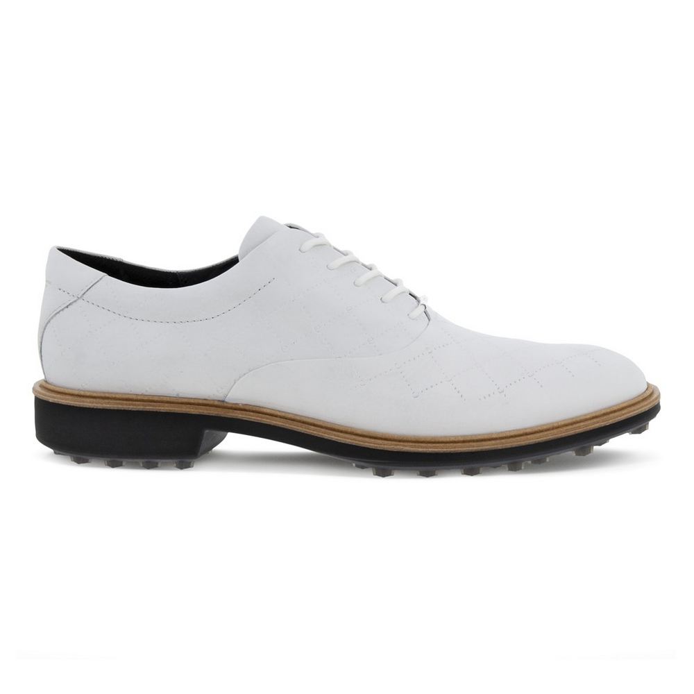 ECCO Men's Classic Hybrid Shoes