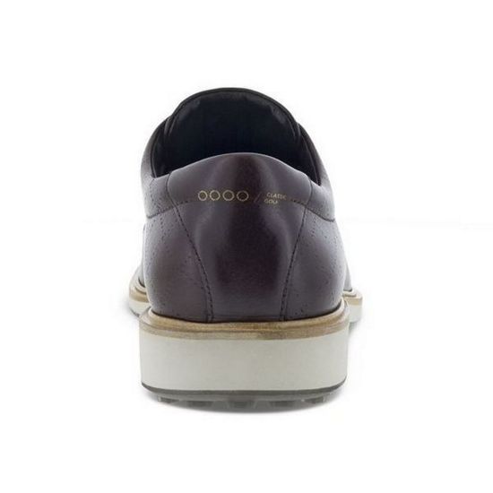 Picture of ECCO Men's Classic Hybrid Shoes