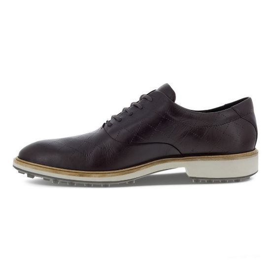 Picture of ECCO Men's Classic Hybrid Shoes