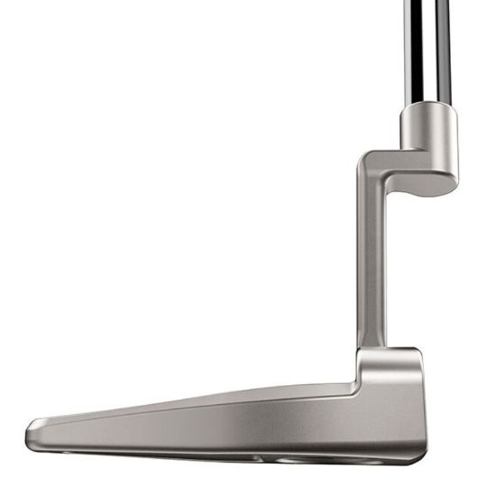 Picture of TaylorMade TP Reserve M21 Golf Putter