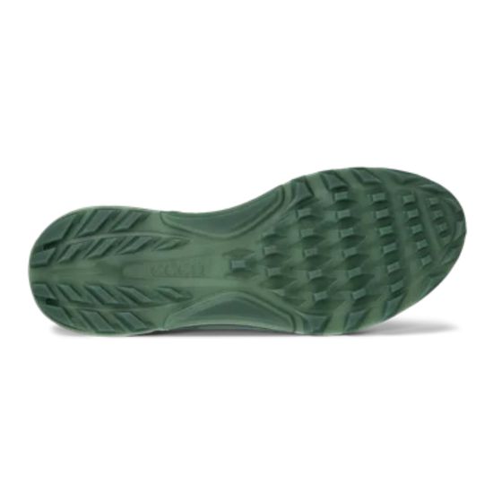 Picture of ECCO Men's Biom C4 Golf Shoes