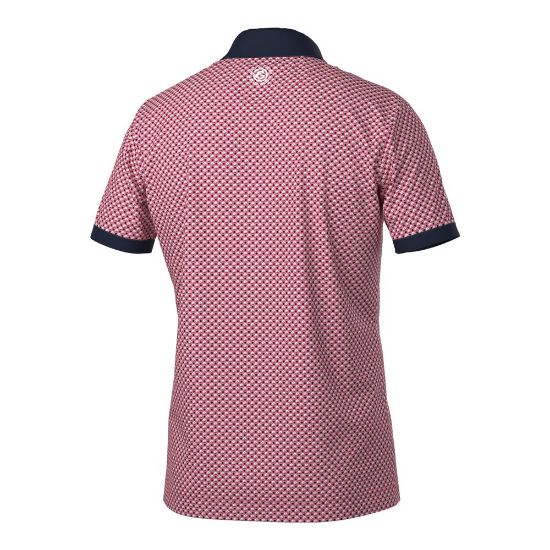 Galvin Green Men's Mate V8+ Camellia Rose Golf Polo Shirt Back View
