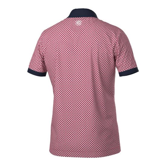 Galvin Green Men's Mate V8+ Rose Golf Polo Shirt Back View