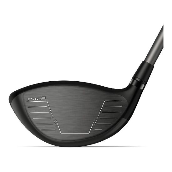 Picture of Wilson Dynapower Carbon Golf Driver