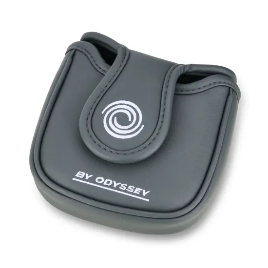 Picture of Odyssey DFX Ten Golf Putter